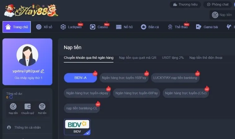 Bí Kíp Nạp Tiền Hay88: Hướng Dẫn Chi Tiết Cho Cược Thủ Chuyên Nghiệp 2 Giao diện nạp tiền Hay88
