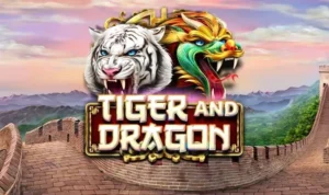 Dragon Tiger tại Hay88